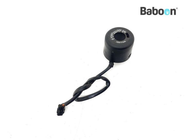 Immobilizer Ontvanger Ducati Hyperstrada 821 2013-2015, Motoren, Onderdelen | Ducati, Gebruikt, Verzenden