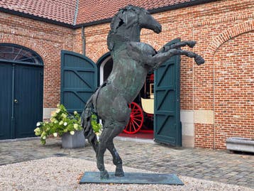 Bronzen monumentaal steigerend paard Jan...
