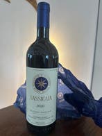 2020 Tenuta San Guido, Sassicaia - Bolgheri DOC - 1 Fles, Nieuw