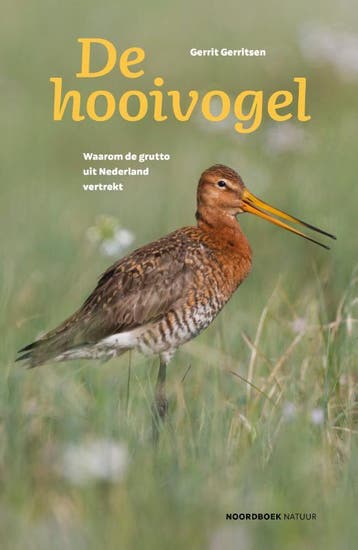 De hooivogel 9789056156909 Gerrit Gerritsen, Boeken, Verzenden, Zo goed als nieuw, Gerrit Gerritsen
