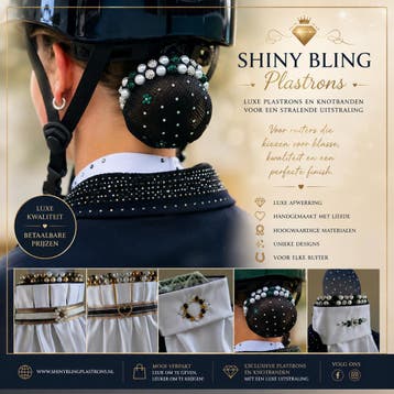 Plastron en knotband bestellen? Voor volwassenen en kinderen, Heren, Nieuw, Bovenkleding, Dressuur