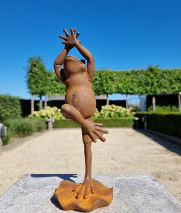 Beeldje - A jolly frog - IJzer