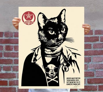Shepard Fairey (OBEY) (1970) - RADICAL CAT OFFSETS