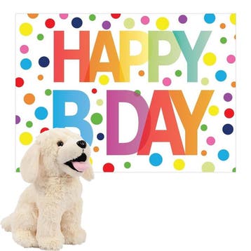 PIA Soft Toys Labrador knuffel - pluche - 20 cm, Kinderen en Baby's, Verzenden, Nieuw