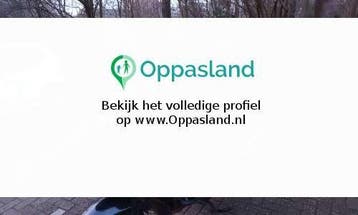 Frans zoekt een oppas in Leidschendam voor 2 kinderen op..., Vacatures