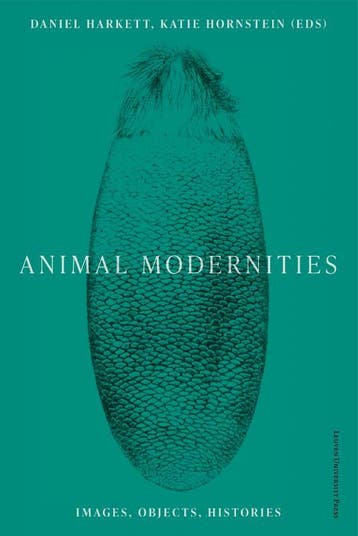 Animal Modernities | Nieuw, Ophalen of Verzenden, Nieuw, Catherine Girard; Rosalind Hayes; Emily Gephart; Maura Coughlin; Laura Nuffer; Nina Amstutz; Stephanie Triplett; Niharika Dinkar; Katherine Fein; Annie Ronan; Michael Yonan; Alysia Garrison; Amy Freund; Sean Weiss