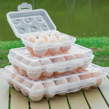 Draagbare Eierhouder met Deksel - Ideaal voor Koelkast, Camp, Verzenden, Nieuw