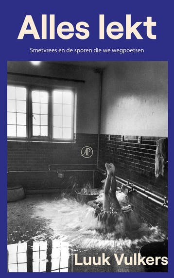 Alles lekt - Luuk Vulkers 9789029552967, Boeken, Verzenden, Gelezen, Luuk Vulkers