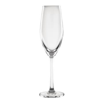 Cordoba Flutes | 210ml | (6 stuks), Verzenden