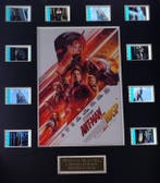 Ant Man and Wasp - Framed Film Cell Display with COA, Nieuw