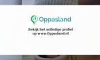 Ik ben Marissa, 25 jaar oud en ik zoek oppaswerk in Almelo.