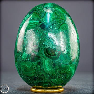 Elegante malachiet-ei – Expressieve natuur in fel groen-