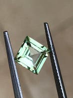 1 pcs Geel, Groen Tsavoriet - 1.58 ct - Gemological, Nieuw