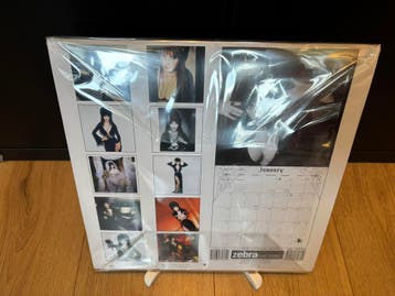 Elvira gesigneerde 2003 kalender (Horror), Ophalen of Verzenden, Nieuw, Foto of Kaart