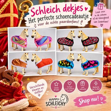 Op zoek naar een origineel schoencadeautje voor Sinterklaas?, Verzenden, Nieuw, Jongen of Meisje