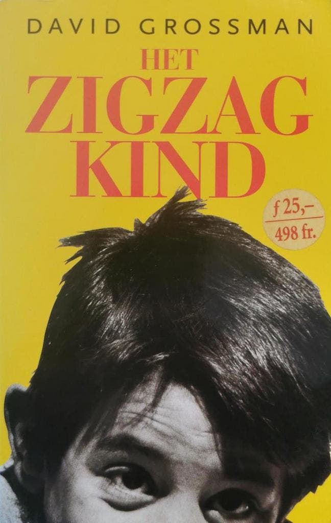 Het zigzagkind - David Grossman 9789026316104, Boeken, Romans, Zo goed als nieuw, Verzenden