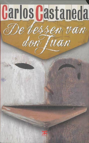 De lessen van Don Juan 9789021583020 C. Castaneda, Boeken, Verzenden, Gelezen, C. Castaneda