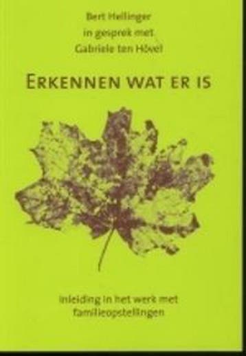 Erkennen wat er is - Bert Hellinger 9789080687462, Boeken, Verzenden, Zo goed als nieuw, Bert Hellinger