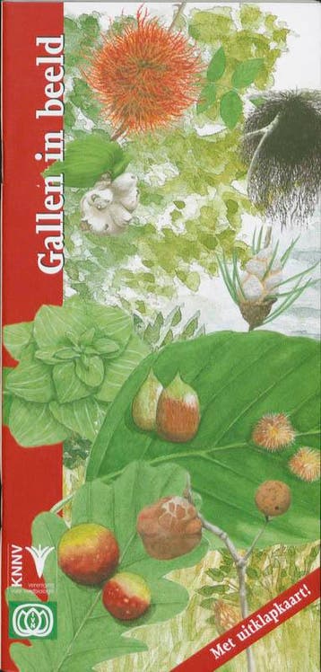Gallen in beeld / In beeld / 21 - K. de Heer 9789050112949, Boeken, Verzenden, Zo goed als nieuw, K. de Heer