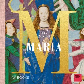 Geen dag zonder Maria - Desirée Krikhaar 9789462581791, Verzenden, Zo goed als nieuw, Desirée Krikhaar
