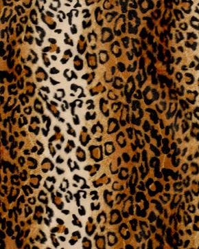 Velboa Panter Camel, Nieuw, Beige