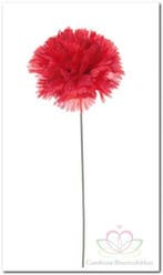 Anjer Rode op draad Zijdenbloem per stuk, Ophalen of Verzenden, Nieuw