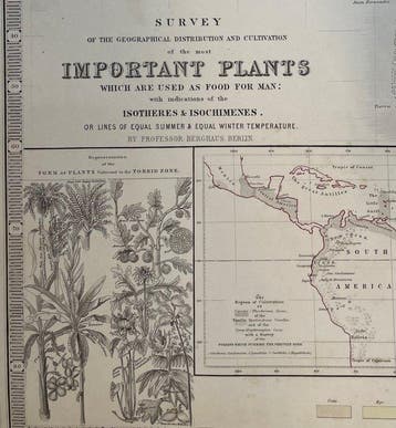 (Plants for Food) - Landbouwgeografie Wereldkaart; Prof.