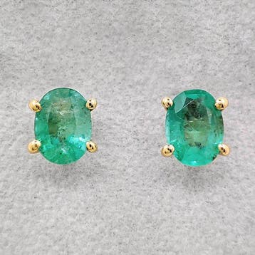 Oorbellen - 14 karaat Geel goud, Zambia - 2.30ct. tw. Beril, Nieuw