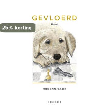 Gevloerd - Koen Camerlynck 9789492944238, Verzenden, Zo goed als nieuw, Koen Camerlynck