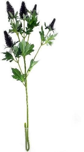 Erynchium Distel Zijdenbloem Blauw 77 cm per stuk, Ophalen of Verzenden, Nieuw