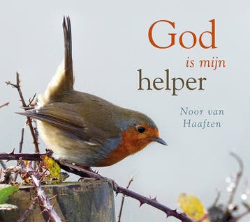God is mijn helper - Noor van Haaften 9789029724623, Verzenden, Zo goed als nieuw, Noor van Haaften