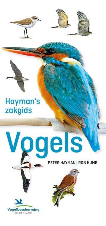 9789043938419 Haymans zakgids Vogels | Tweedehands, Verzenden, Zo goed als nieuw, Peter Hayman