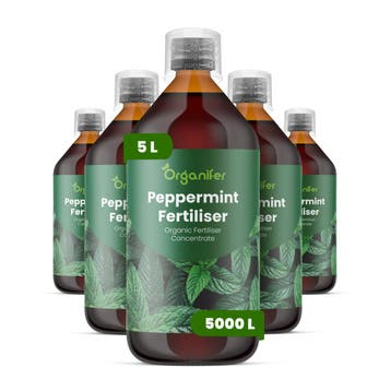 Vloeibare pepermuntmest - Set 5x1 liter, Verzenden, Mest