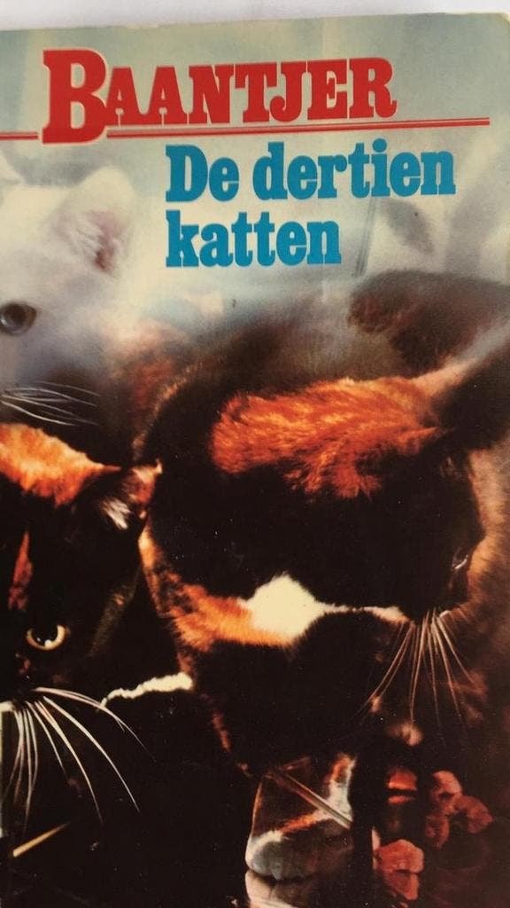 De dertien katten / Fontein pocket special 9789026105777, Boeken, Thrillers, Gelezen, Verzenden