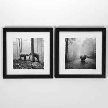 Frank Machalowski - Two framed photographs from the series