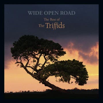 cd - The Triffids - Wide Open Road (The Best Of The Triff..., Verzenden, Nieuw in verpakking