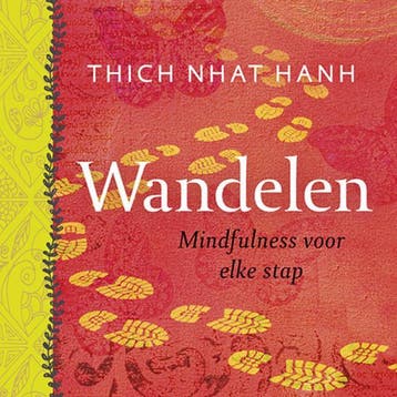 Wandelen - Thich Nhat Hanh 9789025905118, Boeken, Verzenden, Gelezen, Thich Nhat Hanh