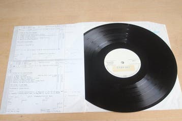 Steve Miller Band - Living In The 20th Century - LP album, Nieuw in verpakking