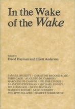 In The Wake Of The Wake 9780299076009 David Hayman, Boeken, Verzenden, Gelezen, David Hayman