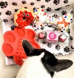 Honden verjaardags cadeau pakket 4-delig, Verzenden, Nieuw