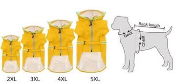 Regenjas Grote Honden – Transparant, Reflecterend, Winddicht, Verzenden, Nieuw
