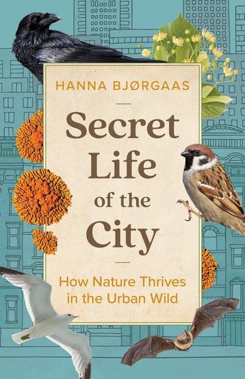 Secret Life of the City - Hanna Hagen Bjrgaas 9781771649353, Verzenden, Zo goed als nieuw, Hanna Hagen Bjrgaas