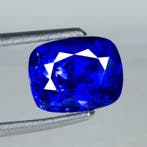 Blauw Saffier - 3.12 ct - Guild Gem Laboratory - royalblauw, Nieuw