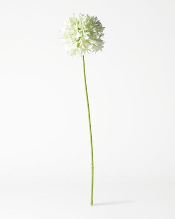HEMA Kunstbloem allium 55cm wit, Verzenden