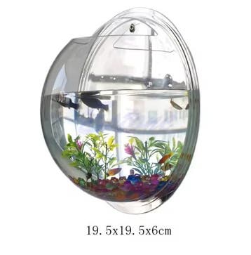 Wand Acryl Viskom –Transparant Mini Aquarium en Plantenhoude, Dieren en Toebehoren, Vissen | Aquaria en Toebehoren, Verzenden
