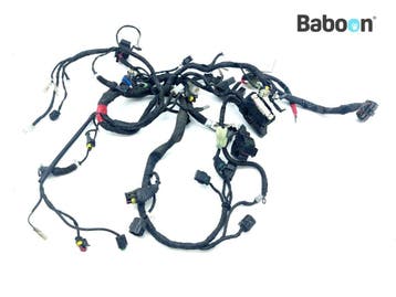 Kabelboom Ducati Monster 1100 EVO 2011-2013 (51017561A), Verzenden, Gebruikt