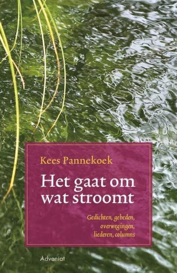 Het gaat om wat stroomt - Kees Pannekoek 9789491042614, Verzenden, Gelezen, Kees Pannekoek