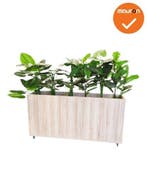 Verrijdbare plantenbak - 160x80cm - Scandinavisch eiken, Werkplek, Ophalen of Verzenden, Gebruikt, Overige typen