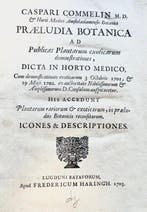 Caspar Commelin - Praeludia botanica - 1703, Antiek en Kunst, Antiek | Boeken en Bijbels