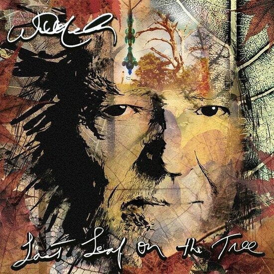 WILLIE NELSON - LAST LEAF ON THE TREE (2LP), Cd's en Dvd's, Vinyl | Pop, Verzenden